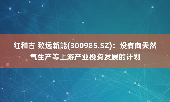 红和古 致远新能(300985.SZ)：没有向天然气生产等上游产业投资发展的计划