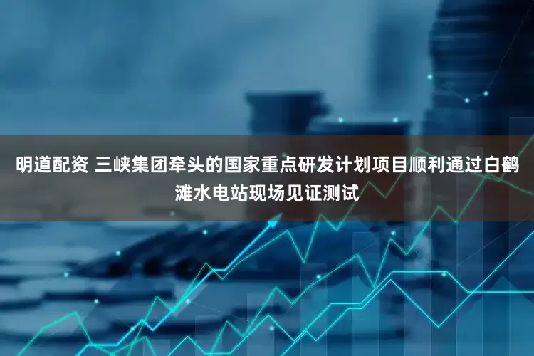 明道配资 三峡集团牵头的国家重点研发计划项目顺利通过白鹤滩水电站现场见证测试