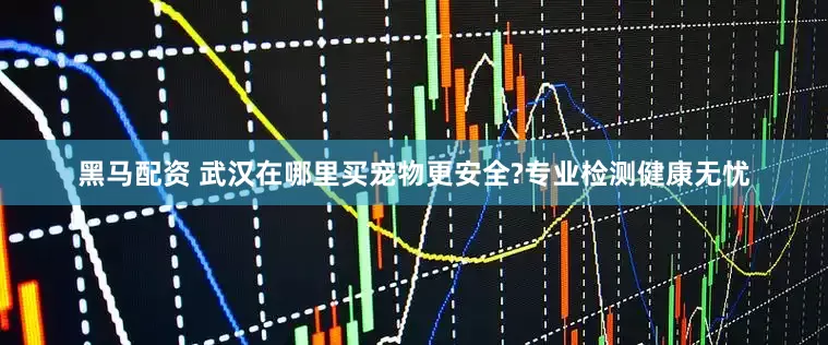 黑马配资 武汉在哪里买宠物更安全?专业检测健康无忧