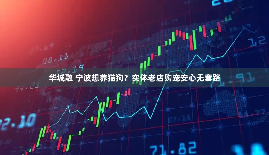 华城融 宁波想养猫狗？实体老店购宠安心无套路